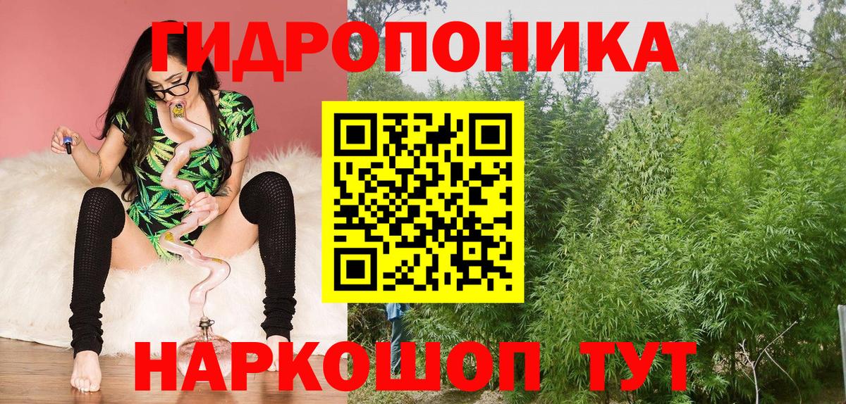 Касимов  Конопля гибрид  Вход с VPN  Марихуана индика 